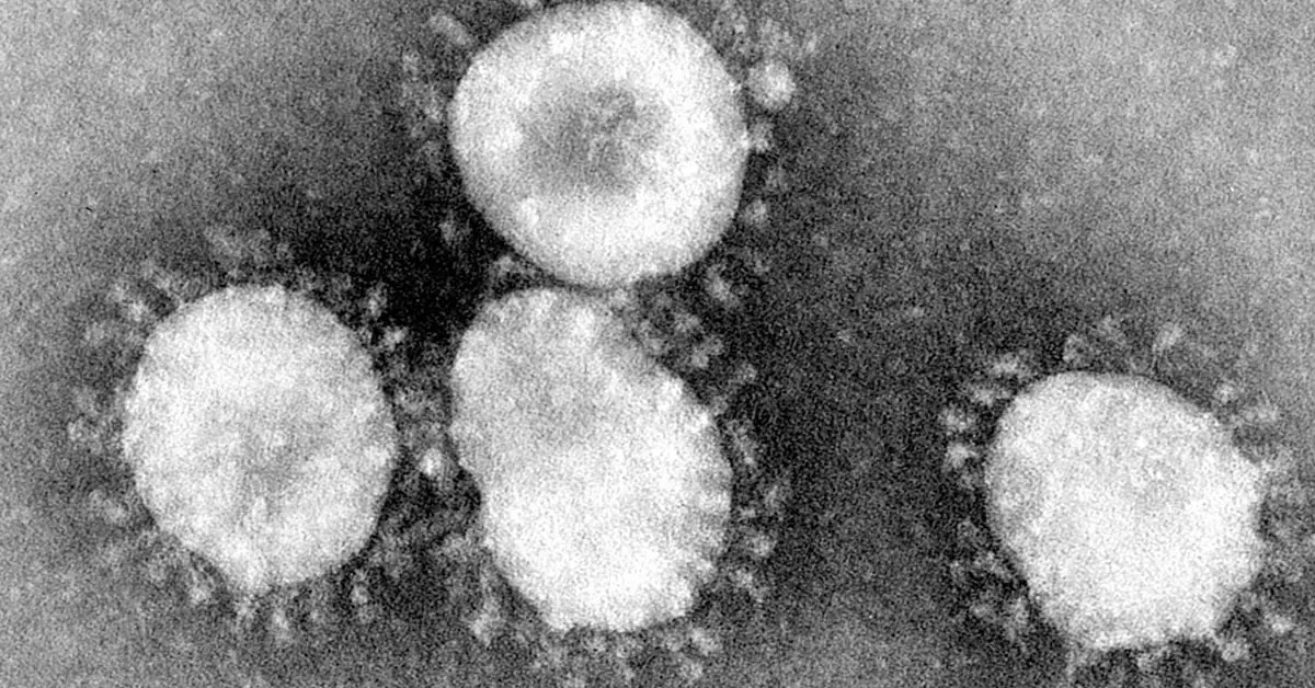 la verità sul coronavirus