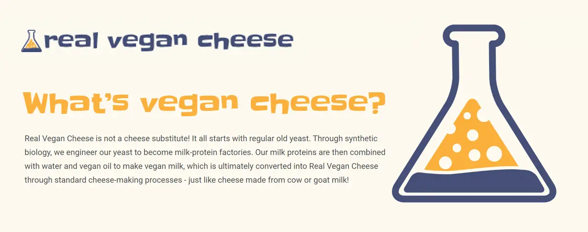 formaggio vegano