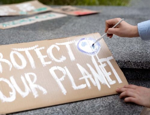 Fridays For Future: milioni di manifestanti si uniscono per combattere la crisi climatica